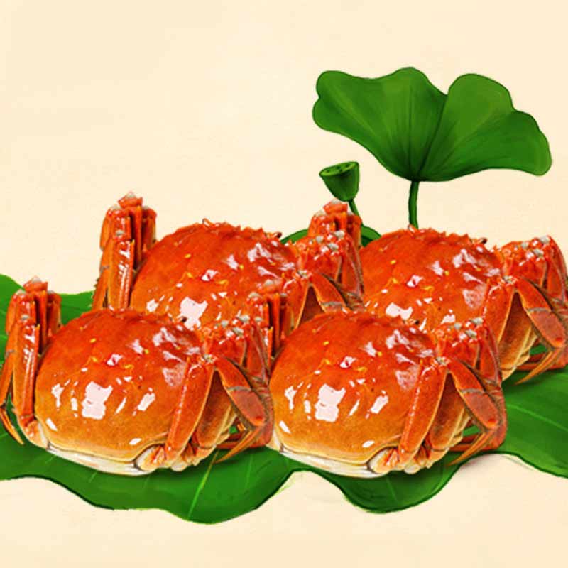 大闸蟹